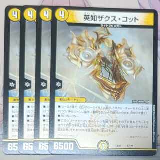 Eich Zaks Cotto 5/????????????