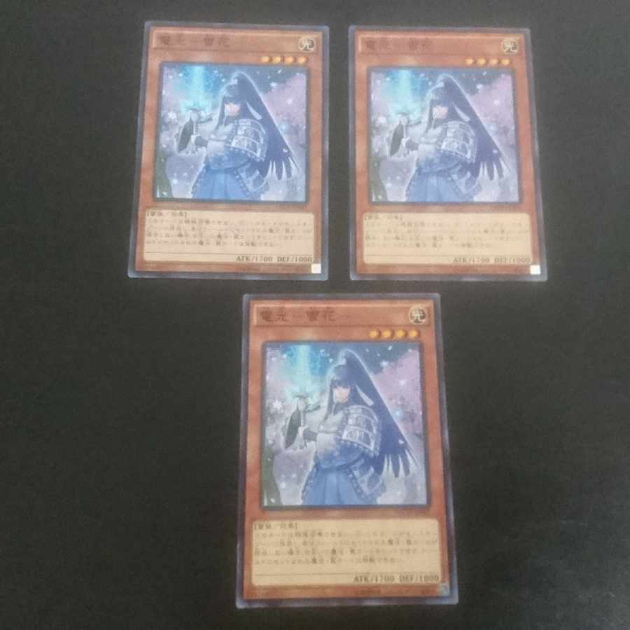 D246 電光-雪花- ノーマル JP041