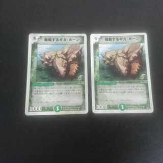 D247 Silver foil Rumbling Terahorn R 15/78