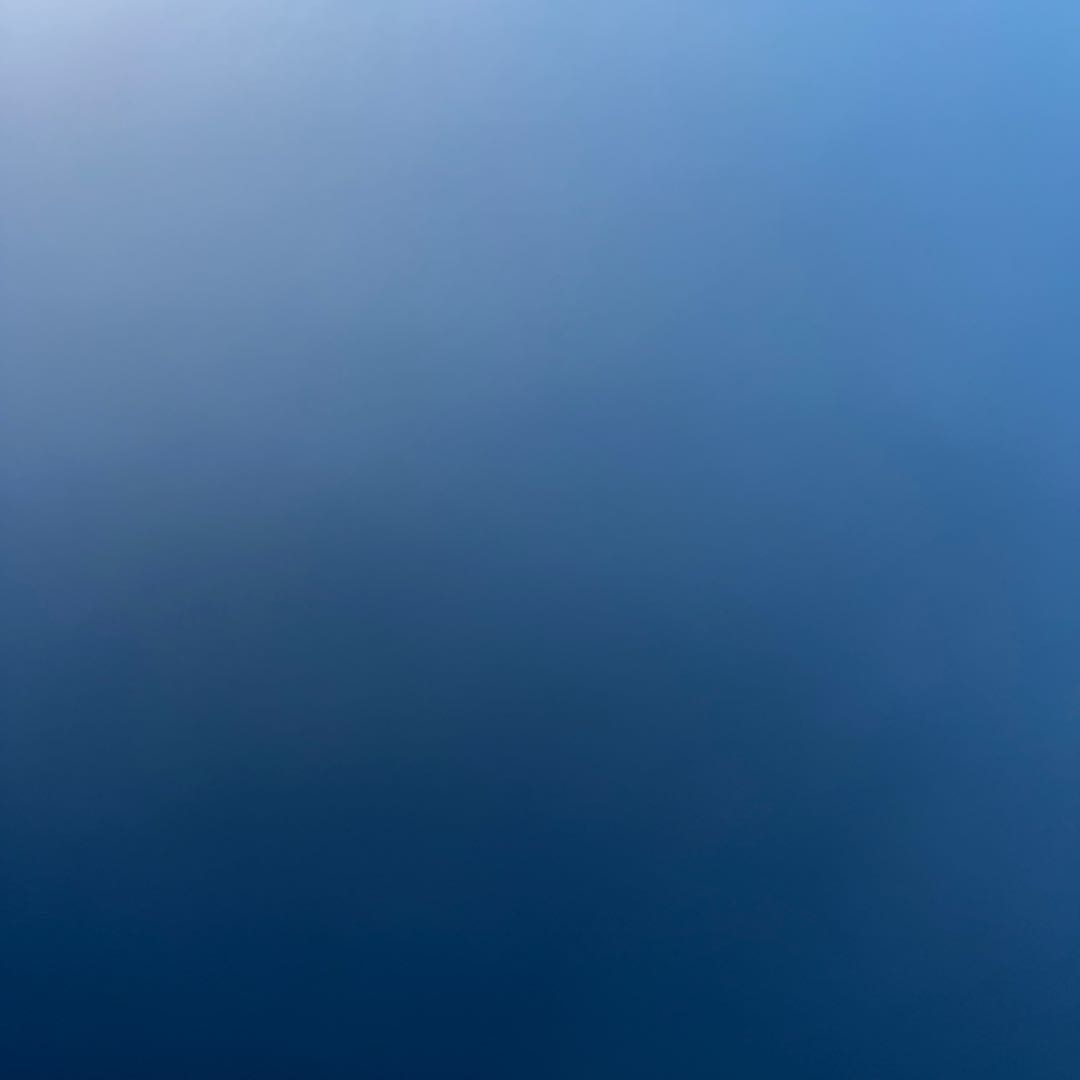 Dedicated to Mr. Go Squirrel Ke