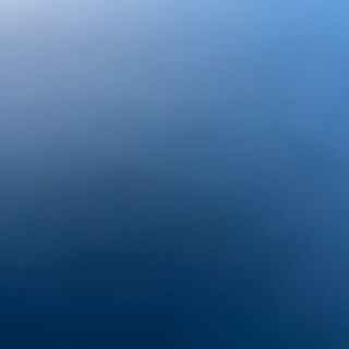 Dedicated to Mr. Go Squirrel Ke