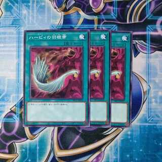 ハーピィの羽根帚 ノーマル ３枚セット