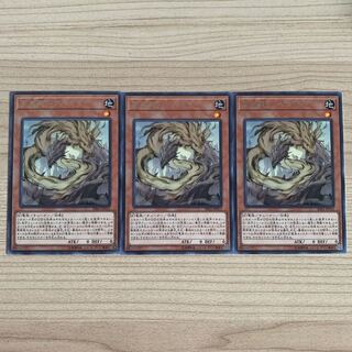 Tenwei Ryu - Ardala Rare JP012