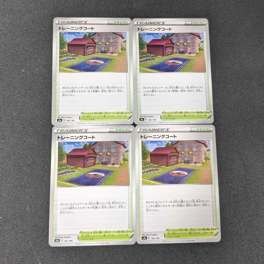 Training Court s4a 180/190