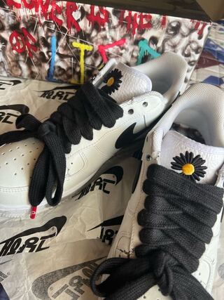 パラノイズ 28cm