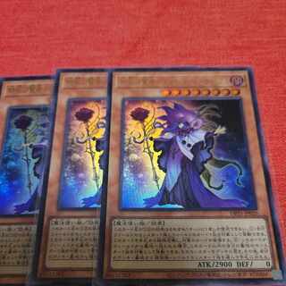 Sage of Time Flower - Fleur de Sage Ultra Rare JP020