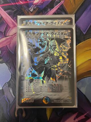 Set of 2" Sapphire Wisdom SR S2/S5