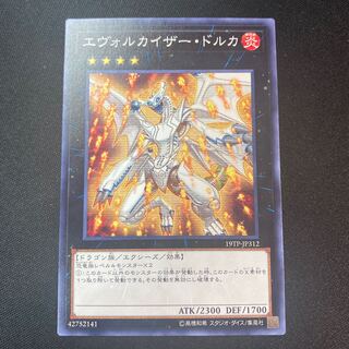 Evolzar Dolkka Normal