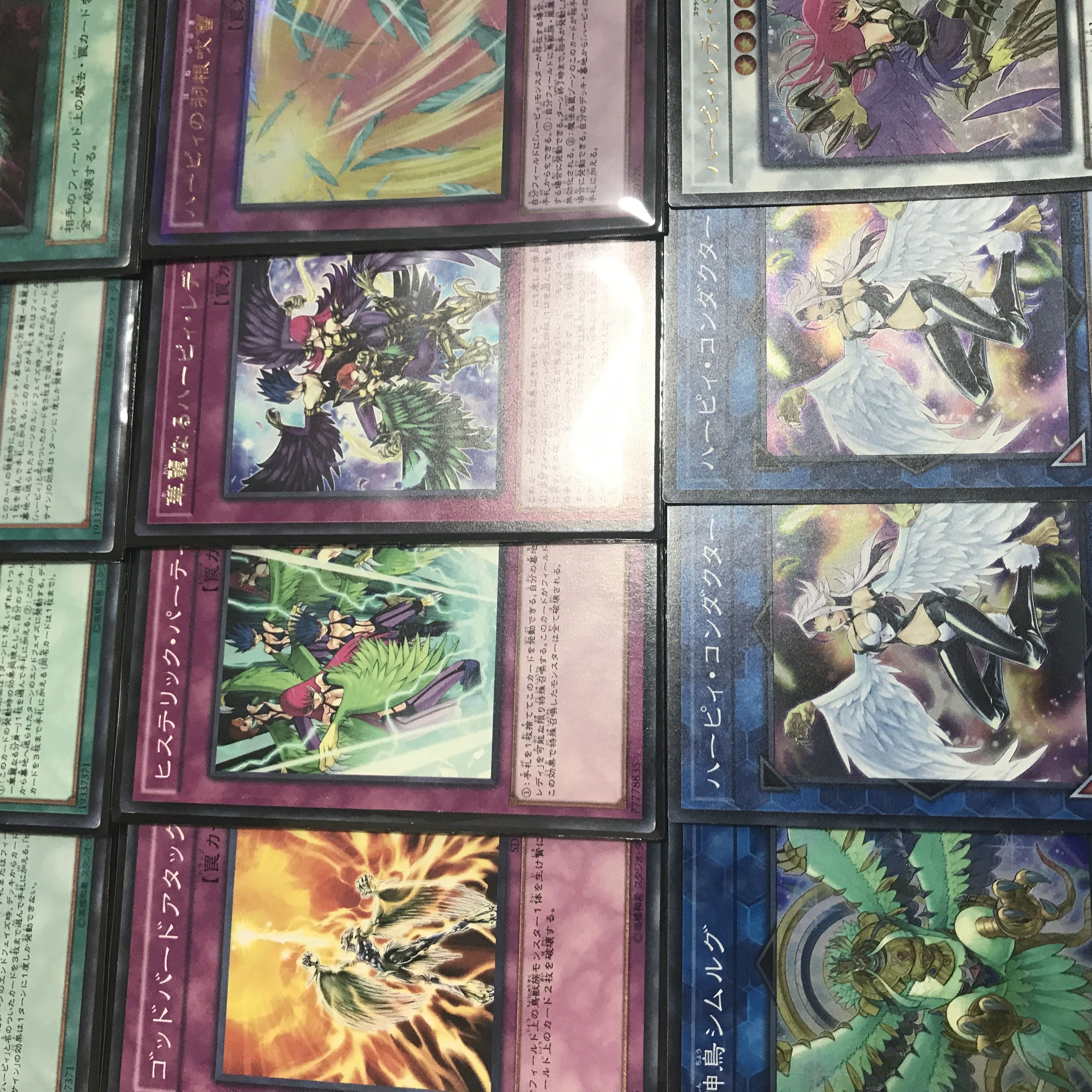 遊戯王【孔雀舞再現！！】ハーピィデッキ40枚