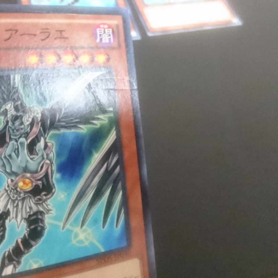 D267 Yukoback with folds and peeling Darklord Edeh Arae Normal JP040