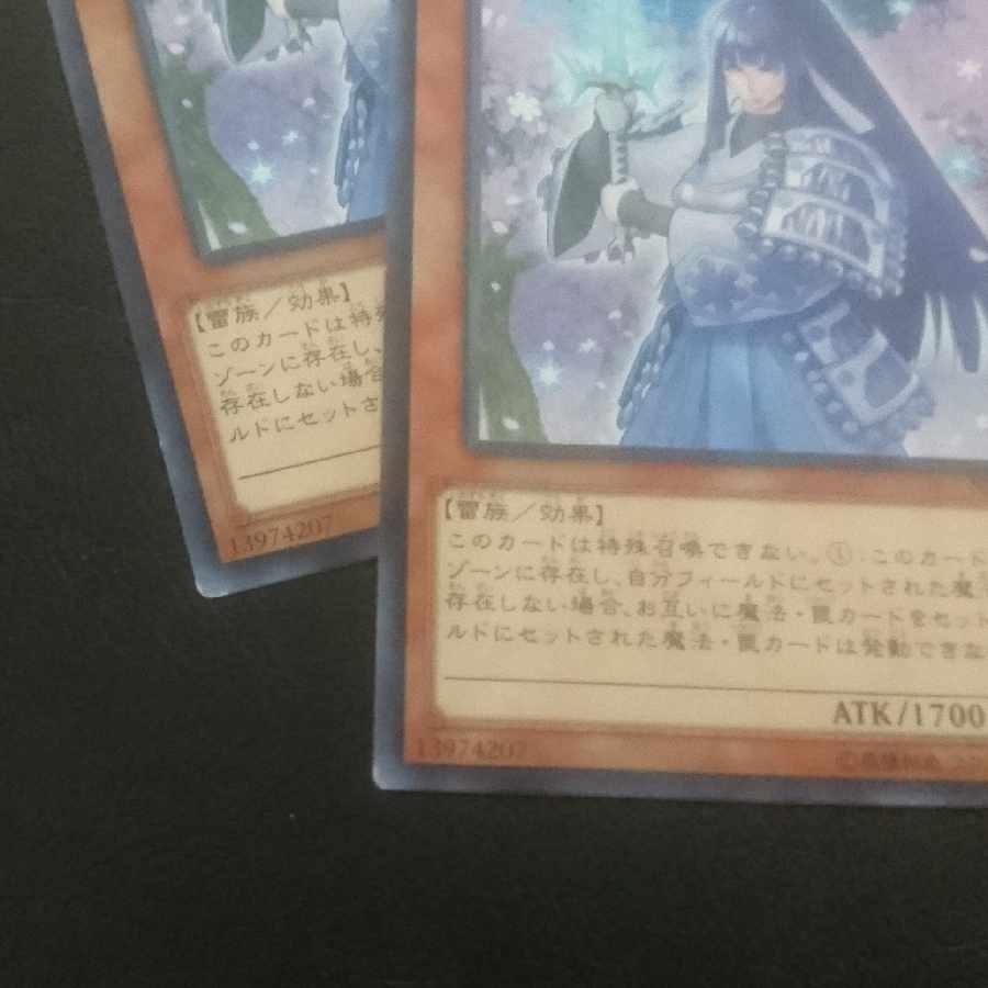 D268 DENKO - Snow Flower - Normal JP041