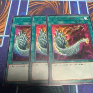 ハーピィの羽根帚