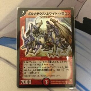 Bormetheus HoWight Dragon Recruitment