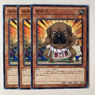 6704 横綱犬 ノーマル JP031