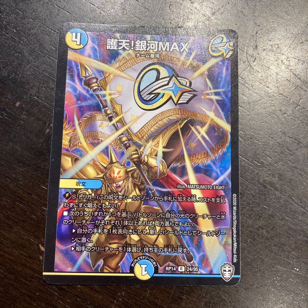 Proten! Ginga MAX R 24/95