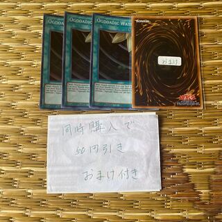 溟界の蛇睡蓮 英語　19537