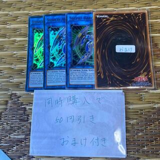 セキュア・ガードナー 英語　19559