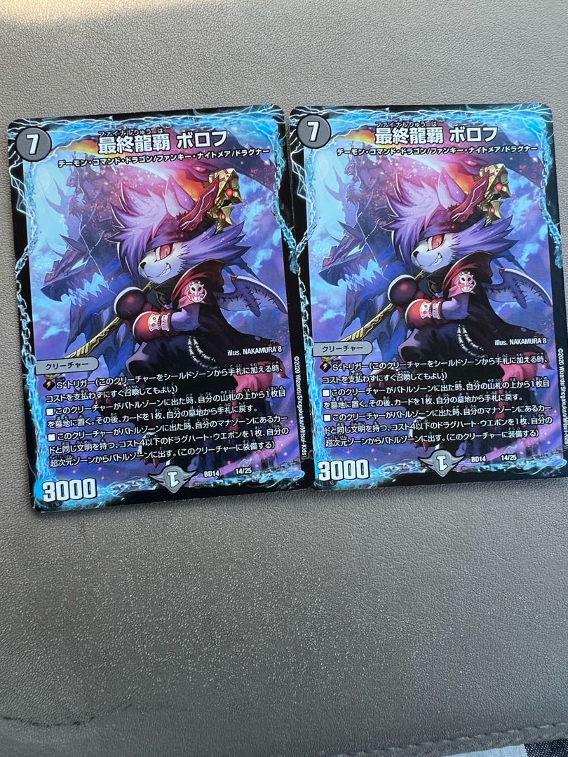 Final Dragon Heights Borov 14/25