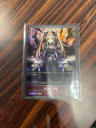 Summoning of the household Promo