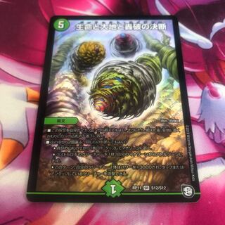 Last Price Reduction] Life Life, Earth and Roaring Decision SR S12/S12