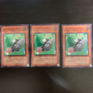 ナチュル・アントジョー ノーマル JP019 3枚セット 3枚