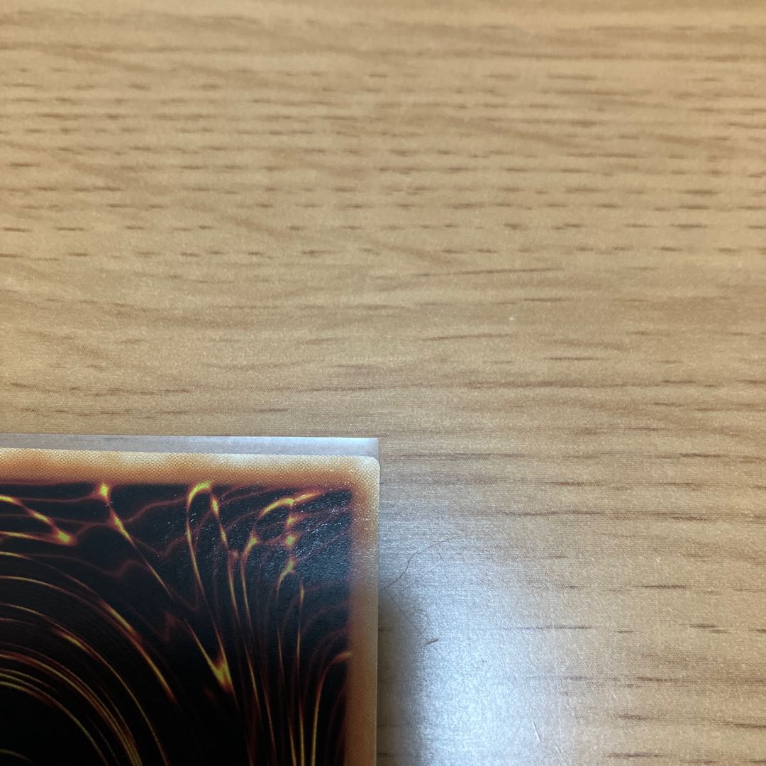 Lightning Bird Dragon - Thunder Dragon Secret English version