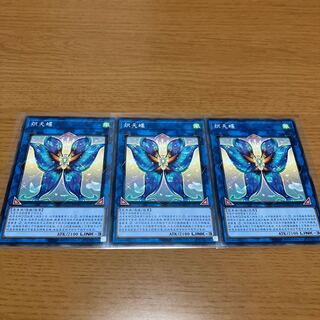 Seraphim Papillion Normal Chinese Edition Set of 3