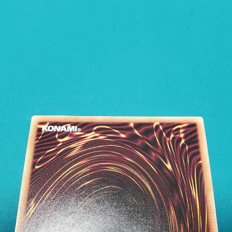 Right Leg of the Forbidden One