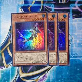 Ku Squirrel Tal Shark Super Rare JP002 Set of 3