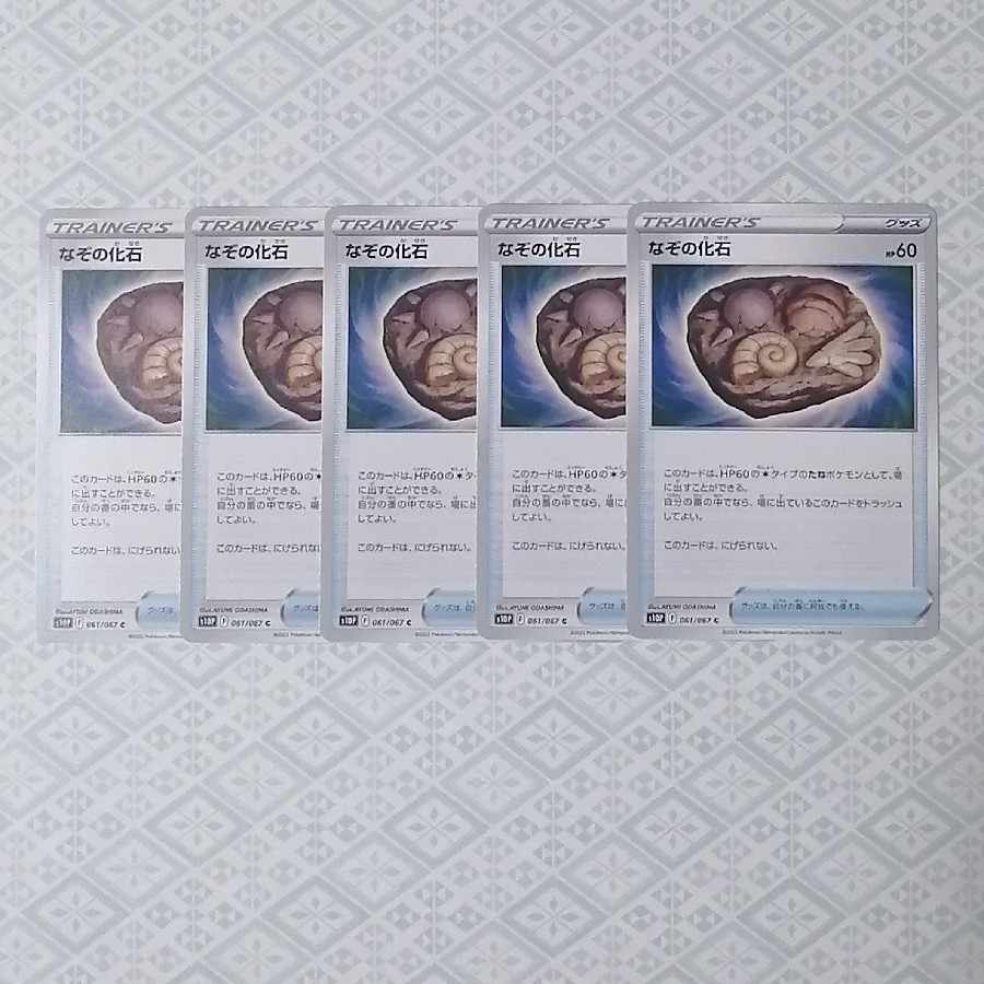 5 pieces of Unidentified Fossil