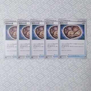 なぞの化石 5枚