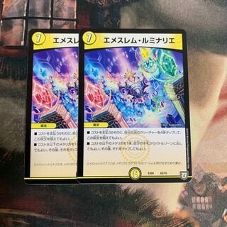 エメスレムルミナリエ　