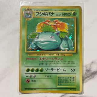 Pokemon card, old back, marked Venusaur
