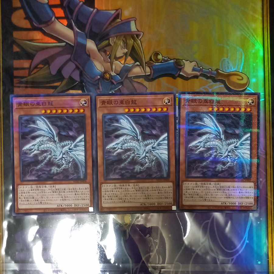 Blue-Eyes Alternative White Dragon Normal Parallel JP008 Three [Snubbull Eyes].