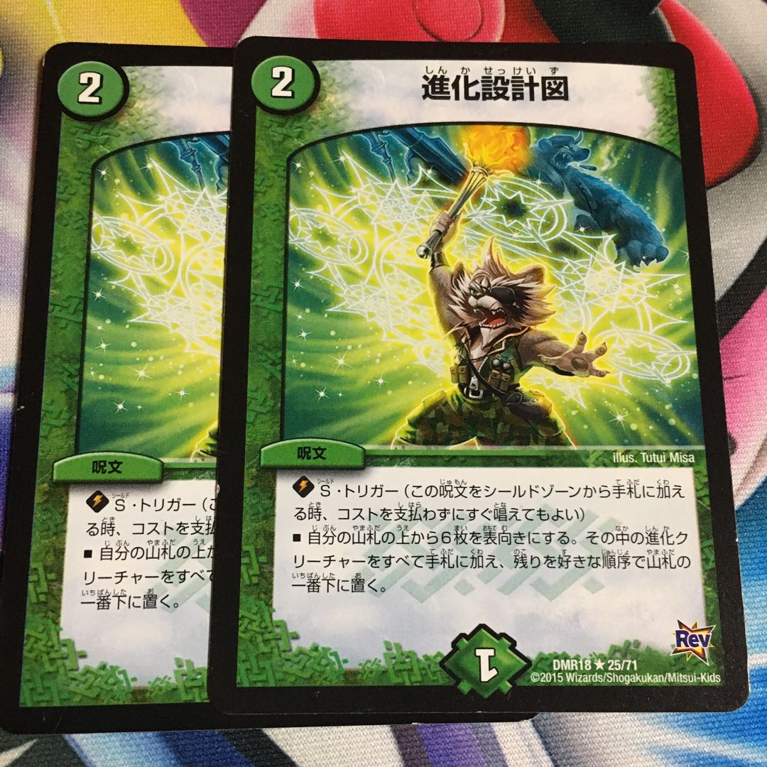 進化設計図 R 25/71