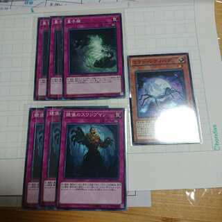 スワンプマン、量子猫、ミラー・レディバグ