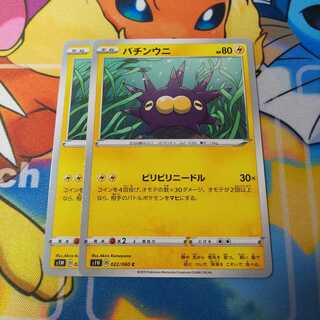 バチンウニ 2枚セット Ｓ１Ｗ