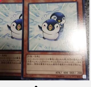 Puny Penguin Normal rare JP037