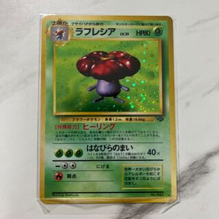 ポケモンカード　旧裏　マークあり　ラフレシア
