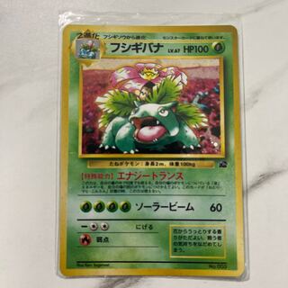 Pokemon card old back Venusaur