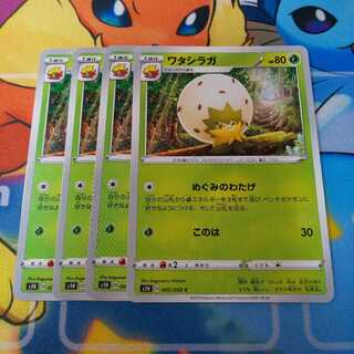 ワタシラガ 4枚セット ｓ１ｈ