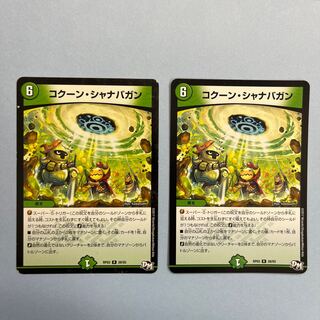 コクーン・シャナバガン R 28/93