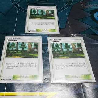 トキワの森 3枚