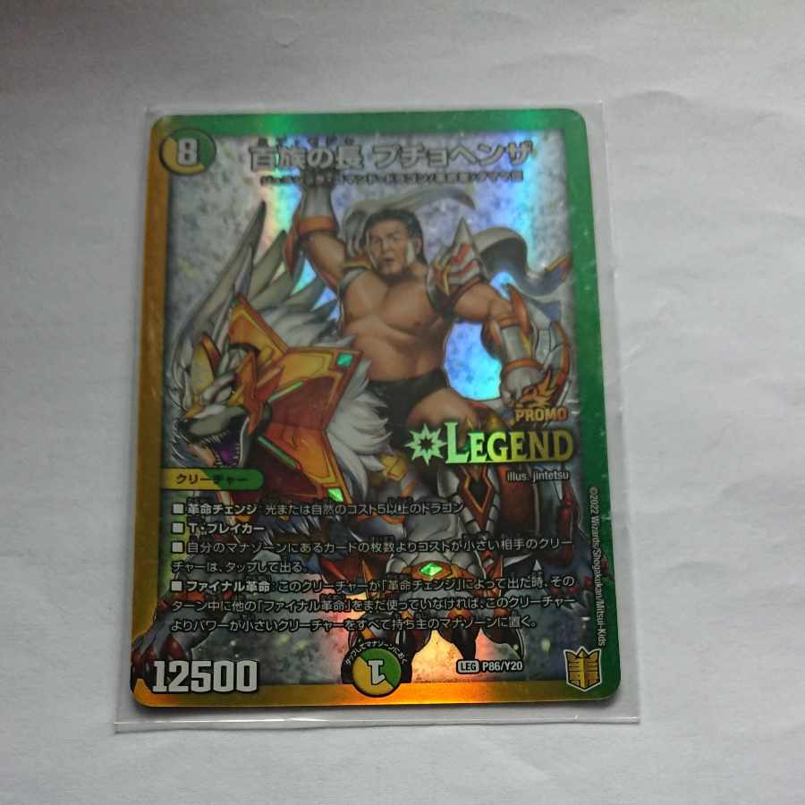 百族の長 プチョヘンザ