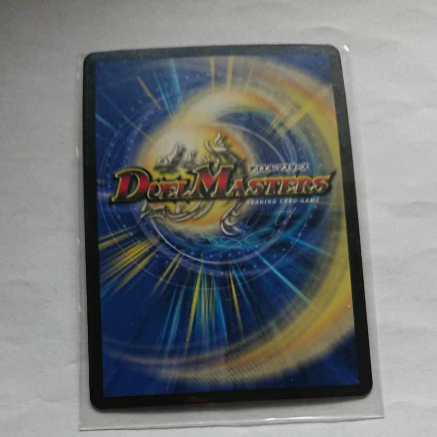 百族の長 プチョヘンザ