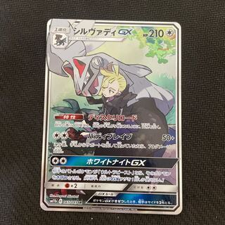 SilvallyGX SR SA 065/049
