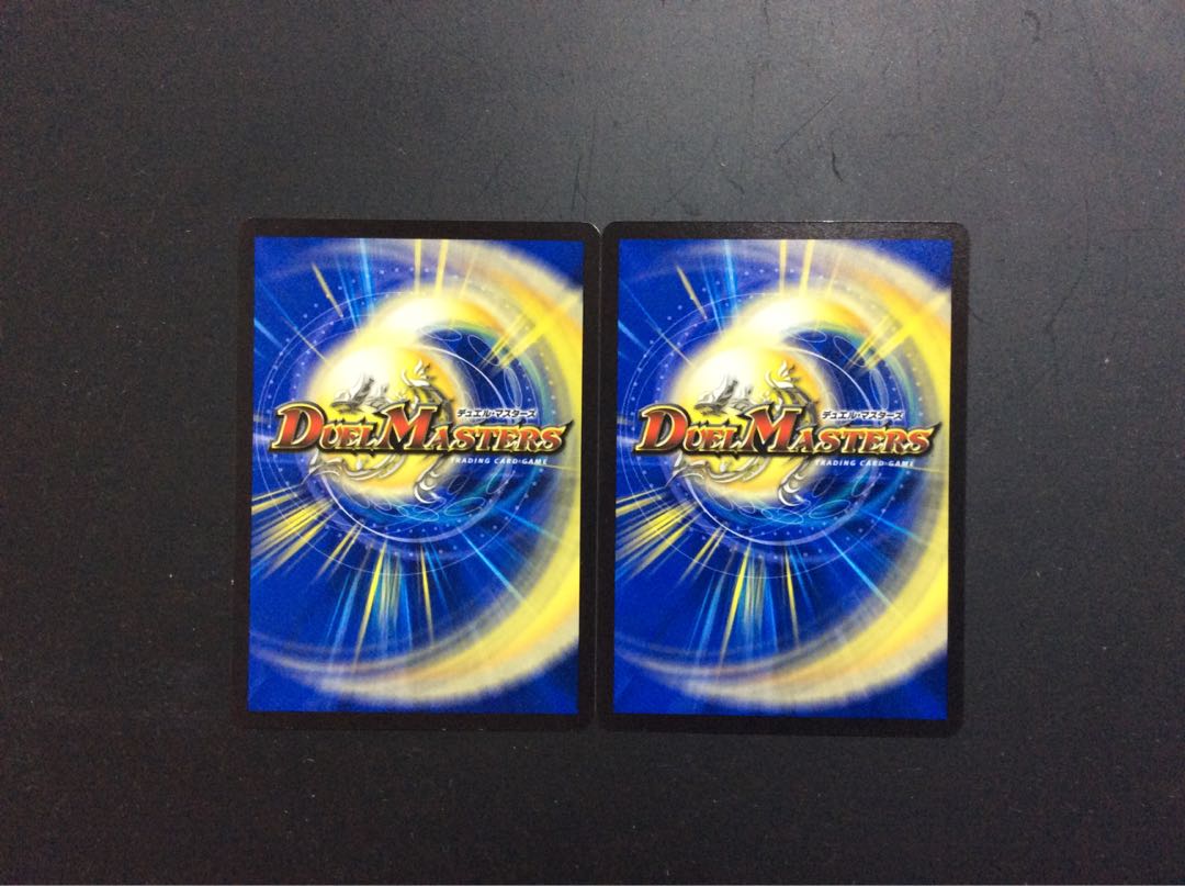 Set of 2 Shelled Beast Pauers