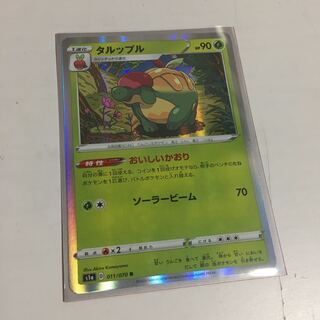 タルップル　１枚