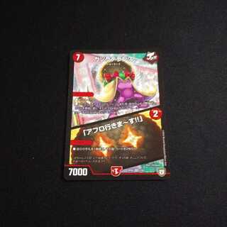 カツラデランス/「アフロ行きま～す！！」