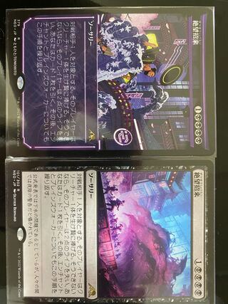 【絵違い2枚セット】絶望招来